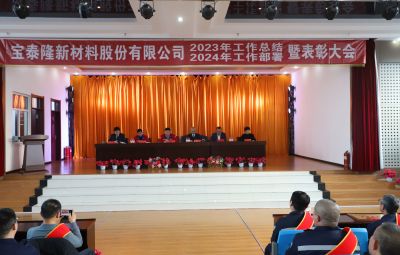 新征程 新奔赴 新未來|寶泰隆2023年度總結(jié)暨表彰大會隆重舉行